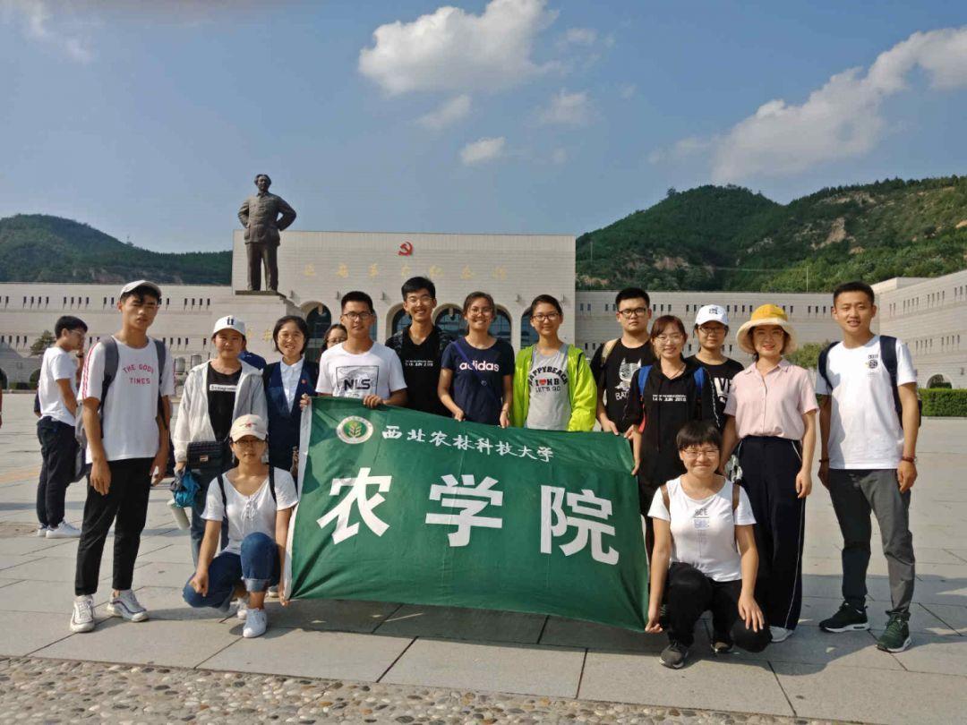 丰山集团拉升触及涨停 上演“地天板”