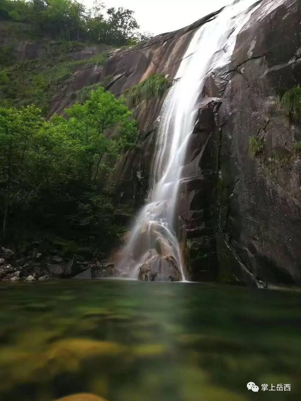 拯救小萌虎