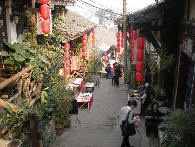 青蛙魔术师